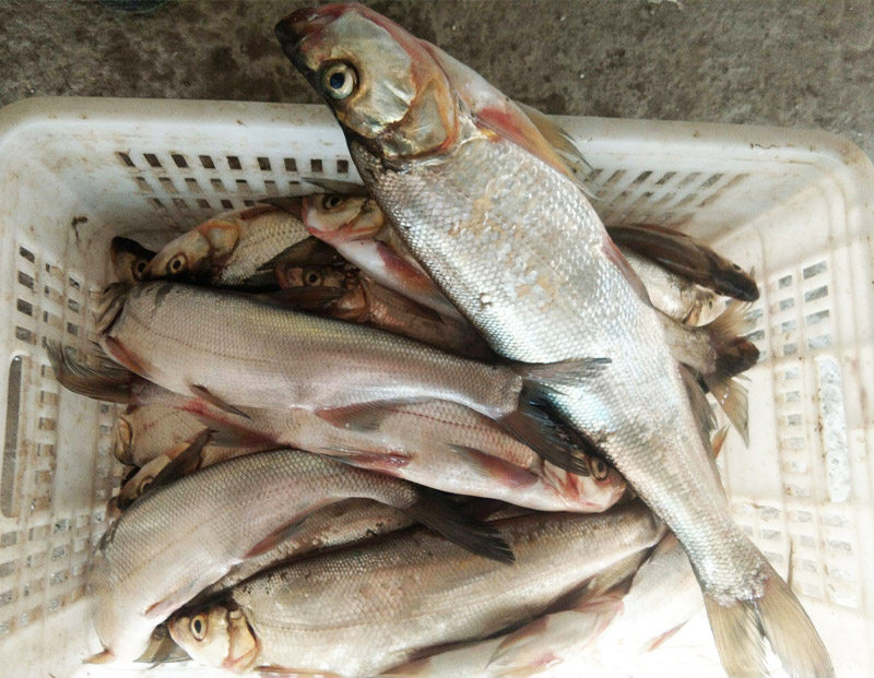 ��������