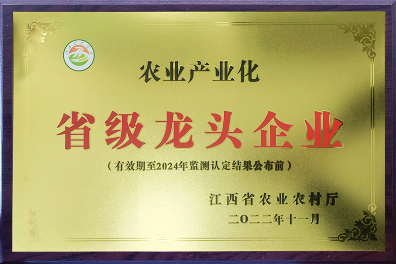 ʡ����ͷ��ҵ